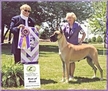 AKC BISS / UKC / INT'L CH. Lagarada’s Forever More, ROM, HOF